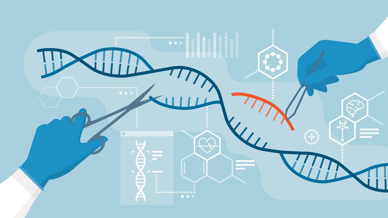 CRISPR Technology in Disease Modelling and Drug Discovery